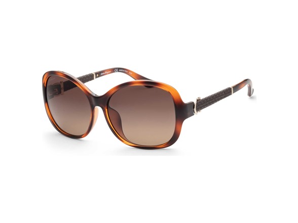 Ferragamo Women's 59mm Brown Sunglasses