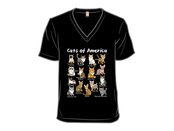 Cats of America