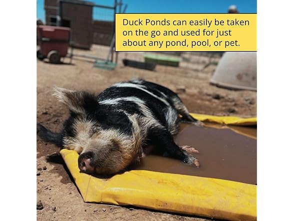 ENPAC Portable Duck Pond Mini Containment