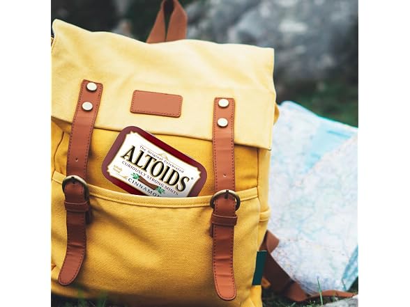 12PK ALTOIDS Classic Cinnamon, 1.76 oz Tin