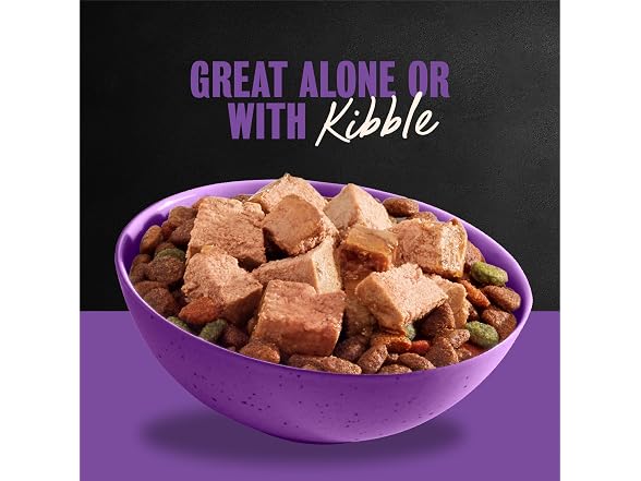 24CT Cesar Classic Loaf in Sauce Adult Wet Dog Food