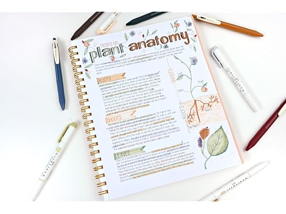 Zebra Pen Sarasa Clip Vintage and Mildliner Neutral Set