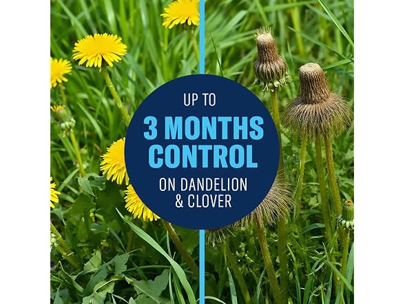 BioAdvanced All-in-One Lawn Weed & Crabgrass Killer