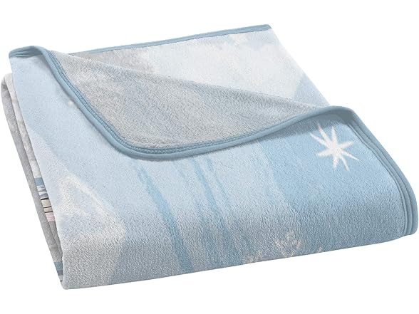 Northwest Frozen Micro Raschel Throw Bla