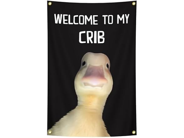 Generic Fun Poster Welcome to My Crib