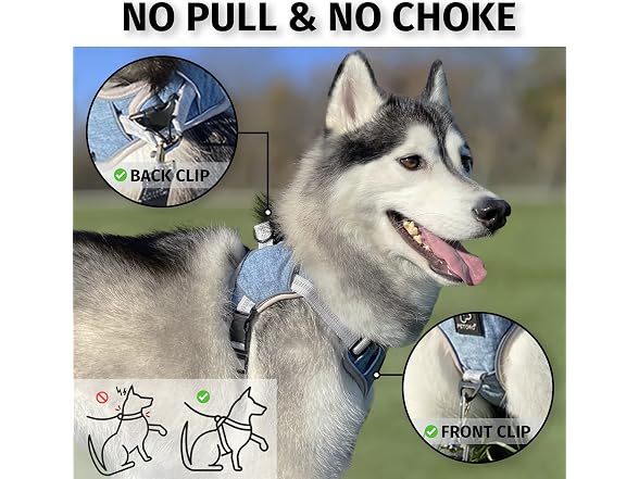 PETORO Adjustable Reflective Harness for Lar