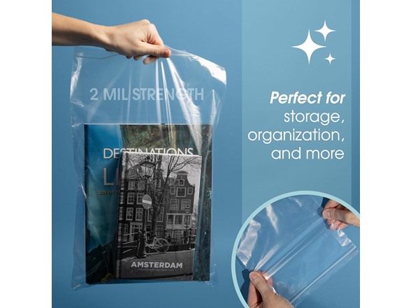 Spartan 2 Mil Reclosable Zip Poly Bags