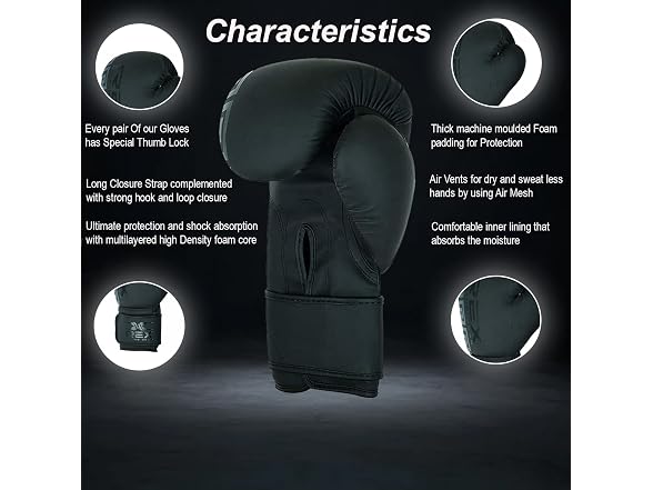 Rex Sports REX Boxing Training Gloves & Kickboxing
