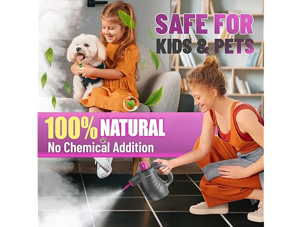 Pressurized Handheld Steam Cleaner