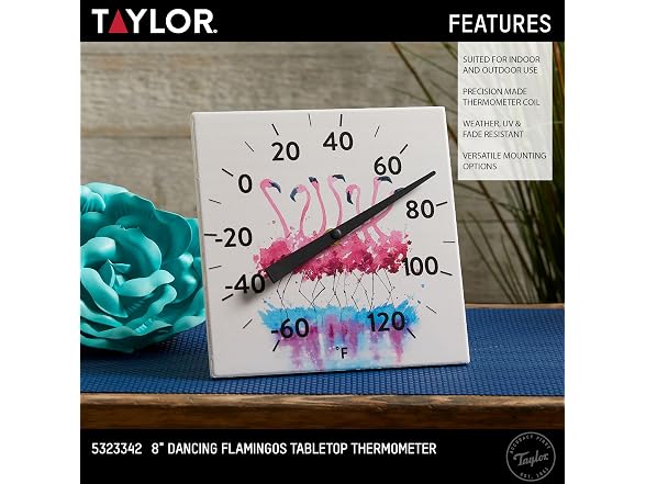 Taylor 8INP Tabletop Thermometer