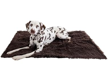 $8.99 Best Friends by Sheri Calming Shag Blanket dealfomo