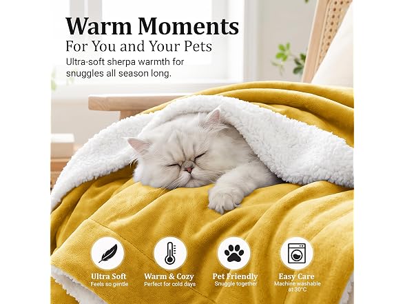 IR Imperial Rooms Queen Sherpa Blanket