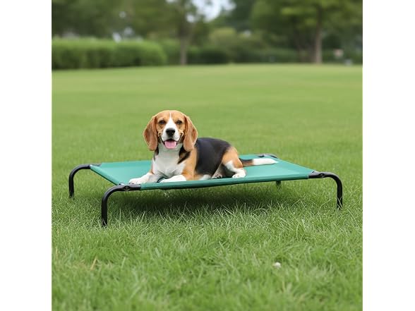 Amazon Basics Cooling Breathable Elevated Dog, Green