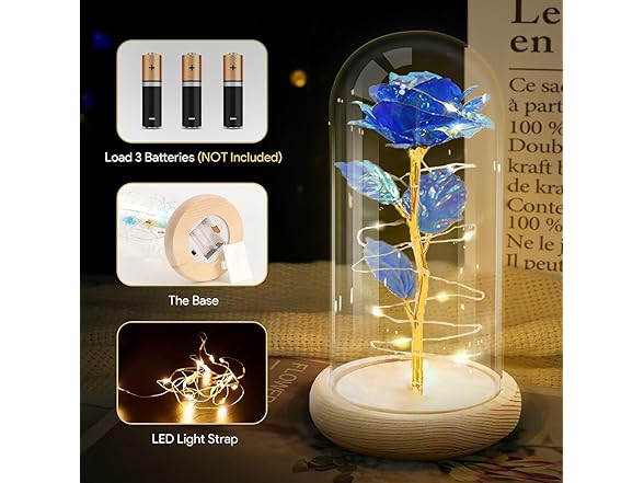 Preserved Rose Flowers Decoration Lights