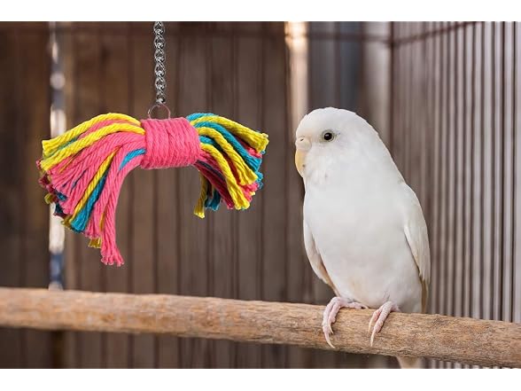 Sweet Feet and Beak Birdie Bow Tie, Large Co