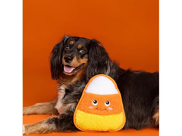 Fringe Studio Pet Toy, Candy You DIG IT?