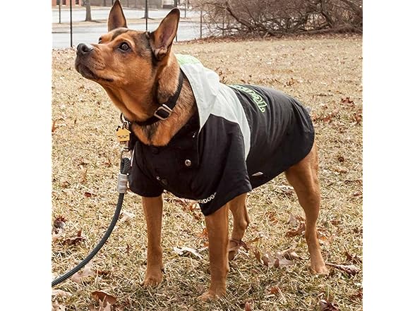 Pet Life ® 'Mount Pinnacle' Ski Dog Coat