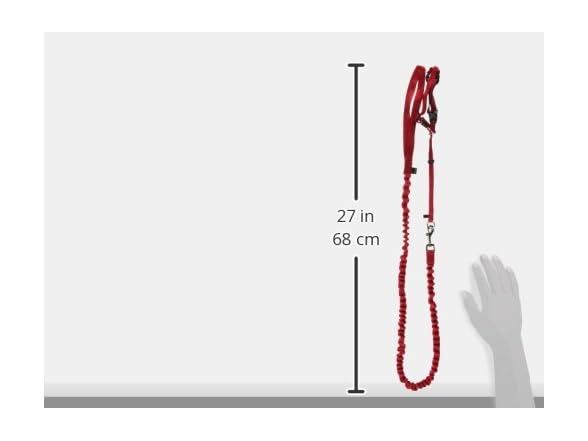 PetSafe Come With Me Kitty Harness and Bungee Leash