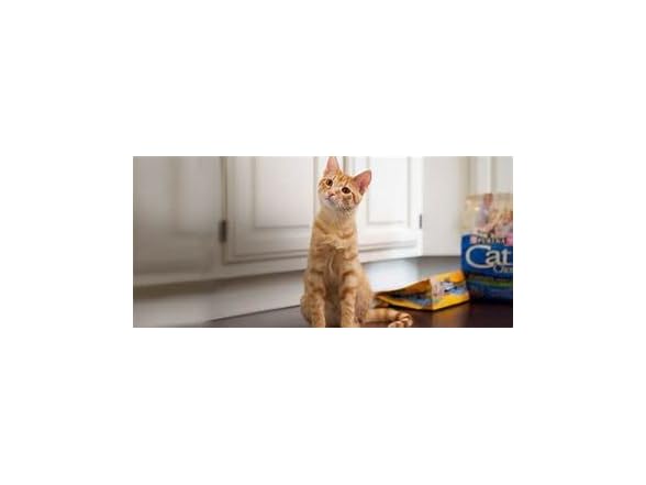 Purina Kitten Chow Dry Kitten Food, Nurt