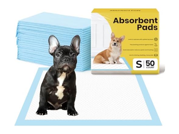 24'' x 18'' 50 Count