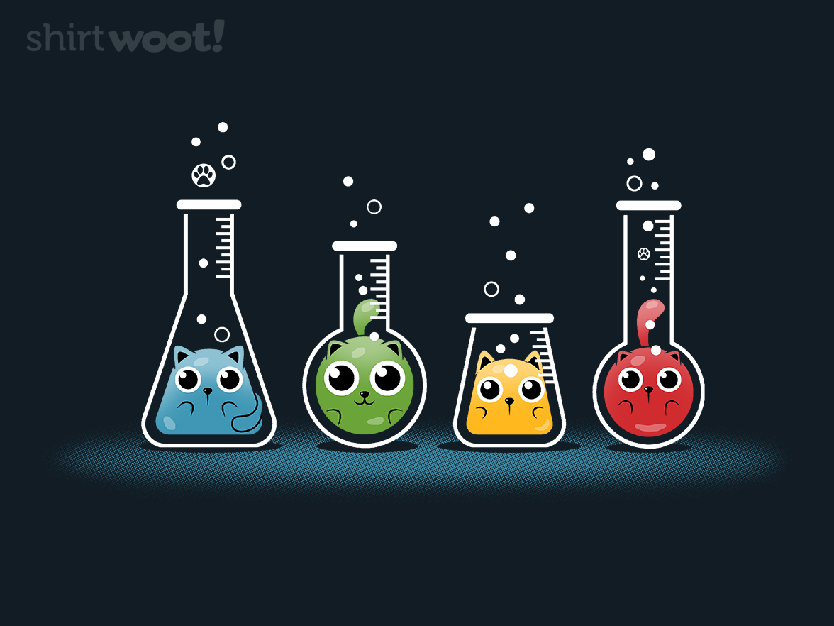 Kitty Lab - Gallery 4