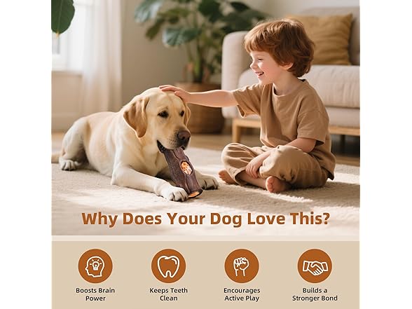 Indestructible Dog Toys