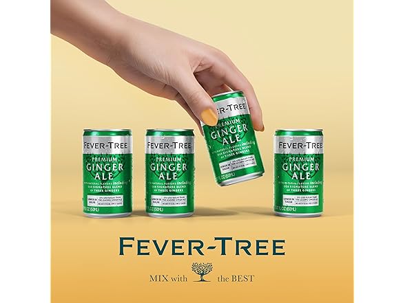 8PK Fever-Tree Ginger Ale – Premium Mixer