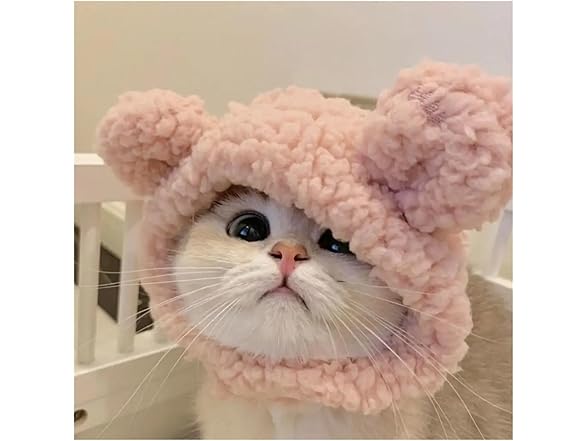 LOKLNEYK Fun cat hat