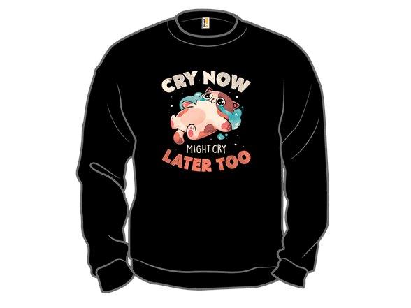 Cry Now Cry Later