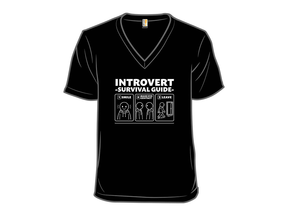 Introvert Survival Guide - Gallery 10