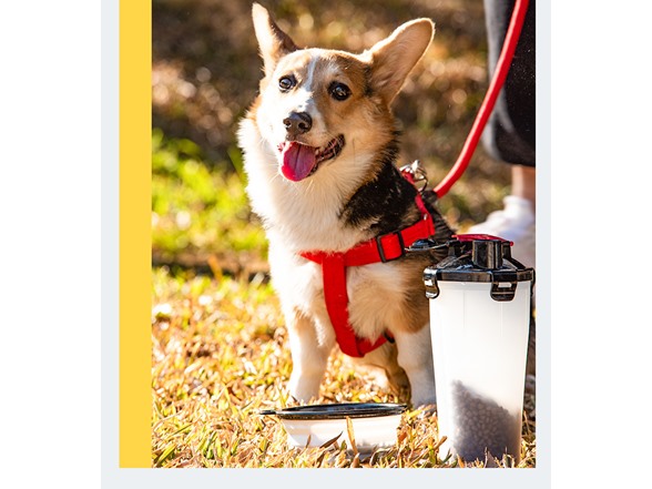 2-in-1 Pet Water & Food Bottle