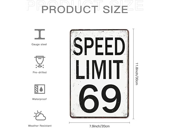 Speed Limit 69 Sign Funny Room Decor