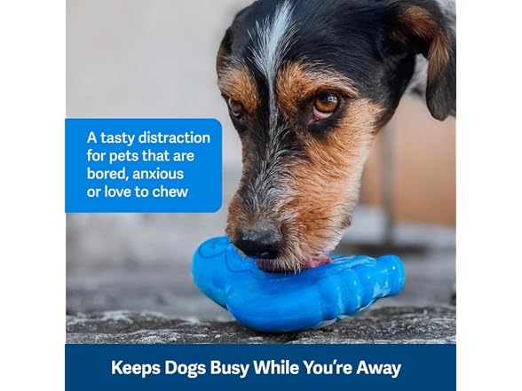 PetSafe Freezable Treat Food Dispensing Chew 