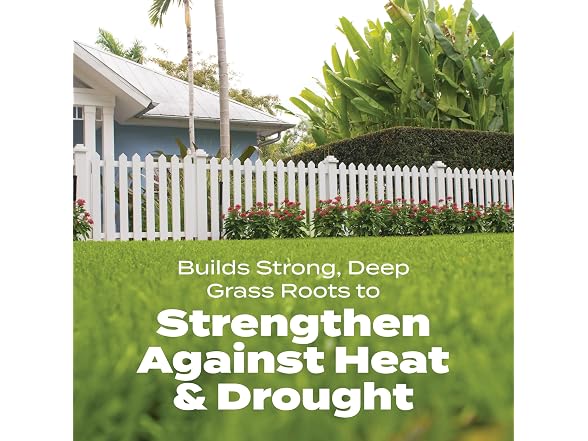 Scotts Turf Builder Bonus Southern Weed & Feed