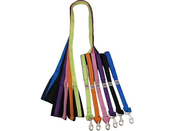Padded Double Handle Leash with Warranted Re