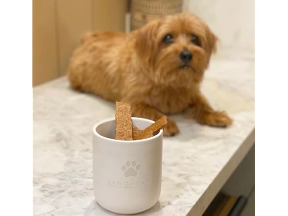 Sand + Paws Scented Candle - White Vanilla