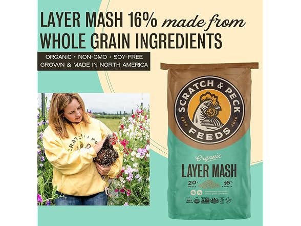 Scratch and Peck Feeds | Layer Mash for Chickens & Ducks