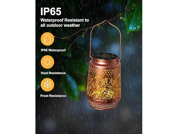 Fussion Hummingbird Solar Lantern