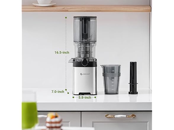 AMZCHEF Cold Press Juicer