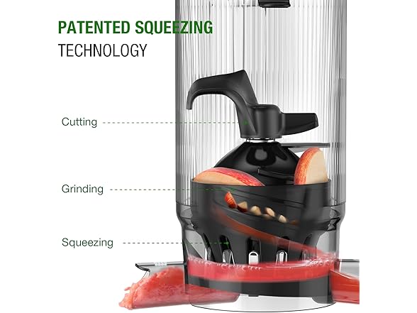 TUUMIIST Cold Press Juicer Machine