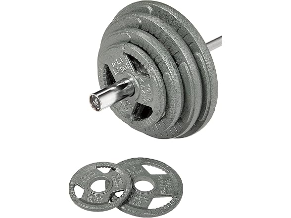 Fitvids Cast Iron Plate Weight 25LB (Pair)