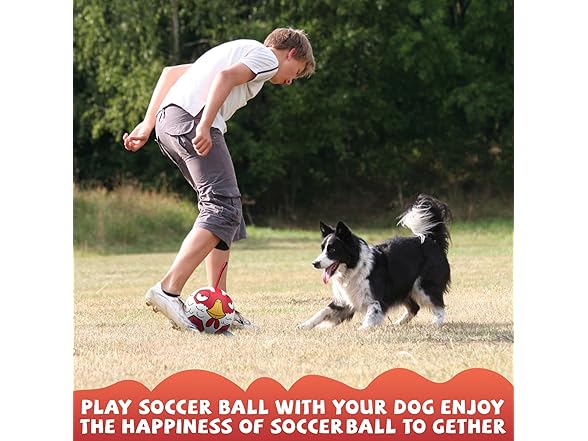 QDAN Chicken Dog Toys Soccer Ball with Straps