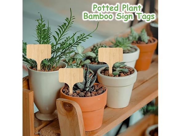 CJFocus GAR-07 (2 Pack) 75Pcs Bamboo Plant Labels