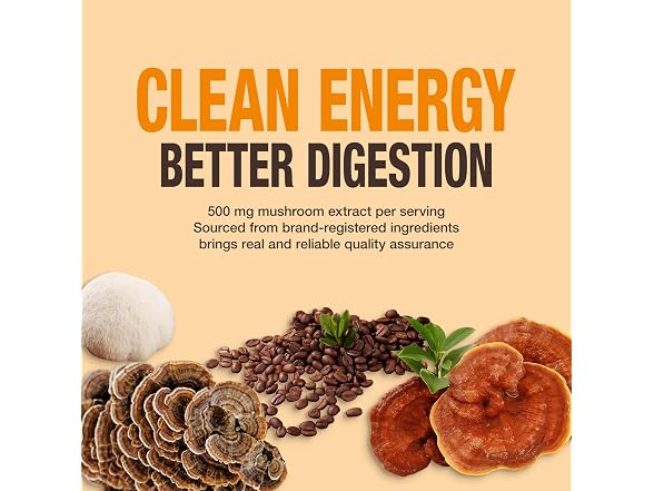 ECO-TASTE Organic Mushroom Coffee