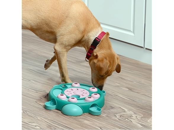 Friends Forever Dog Puzzles Toys with Slower Feeder