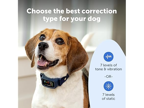 PetSafe Core Digital Dog Bark Collar Waterproof Anti-Bark