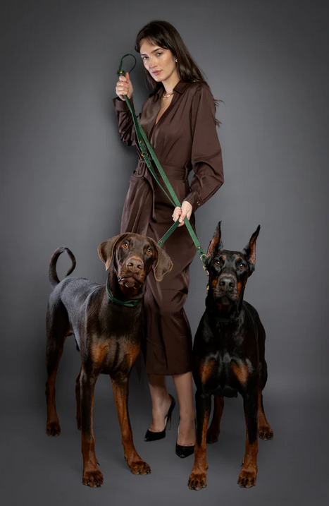 NOAH & PAW Leather Paracord Dog Leash - Gallery 10