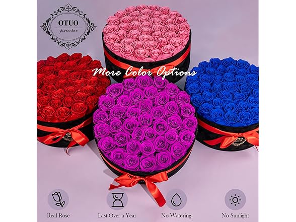 Otuo 40 Real Preserved Roses in Suede