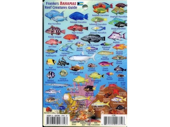 Mini Bahama Islands Id Card