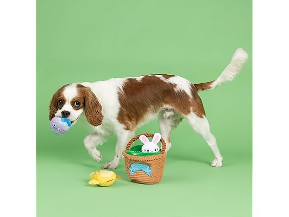 Fringe Studio Plush Dog Toy, Hide & Seek